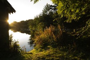 glasshouse sunrise 2.jpg